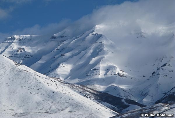 timpanogoswinter021508 0538