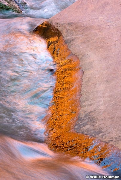 Escalante River Golden Strip 060616 2075