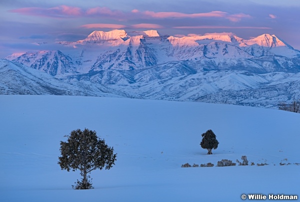 Winter PastureTimpanogos 021719 PANO 5 021719