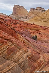 Capitol Reef Colorful Rocks 052121 0880