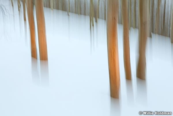 Aspenabstract120310 53