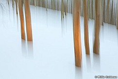 Aspenabstract120310 53
