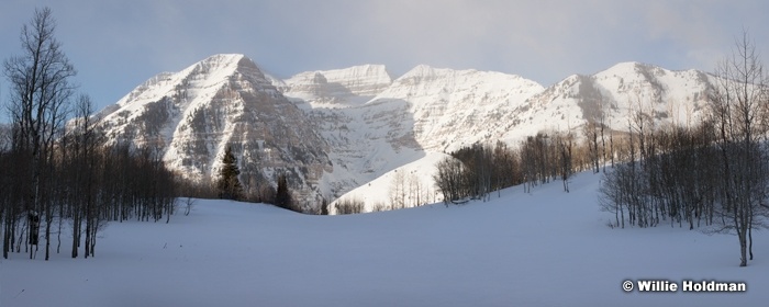 Timpanogos Meadow Winter 022312