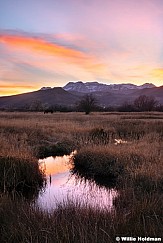 Timp Afterglow 112625 6541