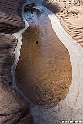 Waterhole Pine Cone 021316 3157