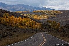 Road Aspens 092612 324