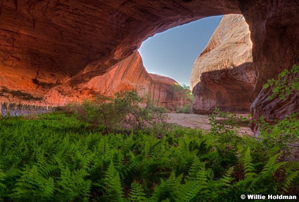 Escalante Alcove 060524 3852 3 4 tonemapped