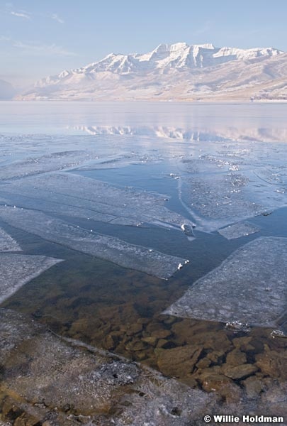 Deer Creek Frost Timpanogos 010419 2388 4
