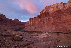 Grand Canyon Pink Storm 042221 1671