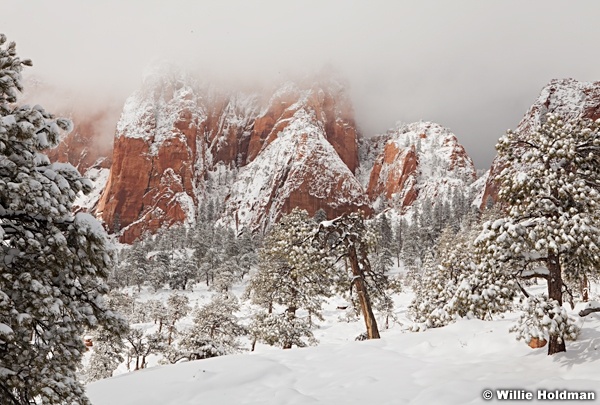 Zion Snow Rock 032012 255