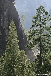 yosemite061807 730