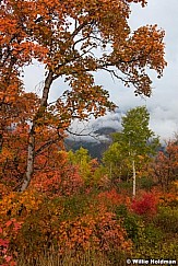 Cascade Mountain Aspen 092216 5949