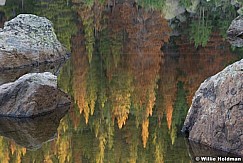 Lakereflection071809 29893