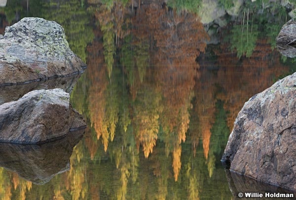 Lakereflection071809 29893