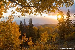 Yellow Aspens Boulder Mountain Sunrise 100425 1088