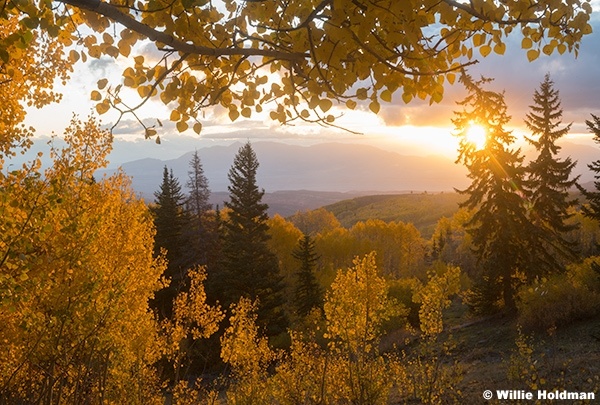 Yellow Aspens Boulder Mountain Sunrise 100425 1088