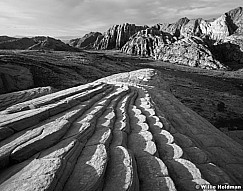 100040000813BW