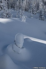 Snow Ghost 11220 1644 4