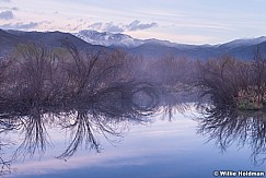 Midway Marsh 042415 7377