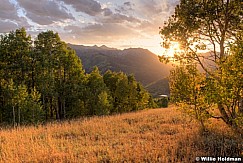 Warm Light Big Cottonwood