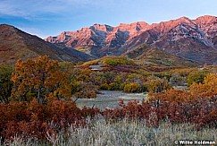 Timpanogos Autumn Oak Sunset 101216