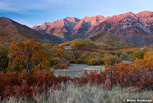 Timpanogos Autumn Oak Sunset 101216