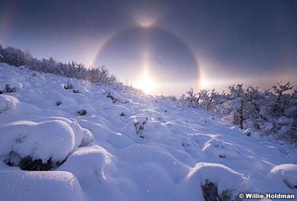 Park City Halo 4593 3