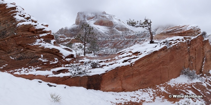 Zion Winter Snow 031912