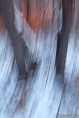 Abstractimpressions101510 6968