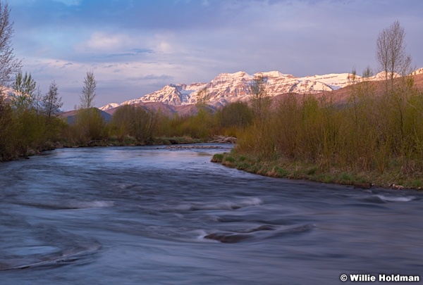 Spring Greens Provo River 050719 8036