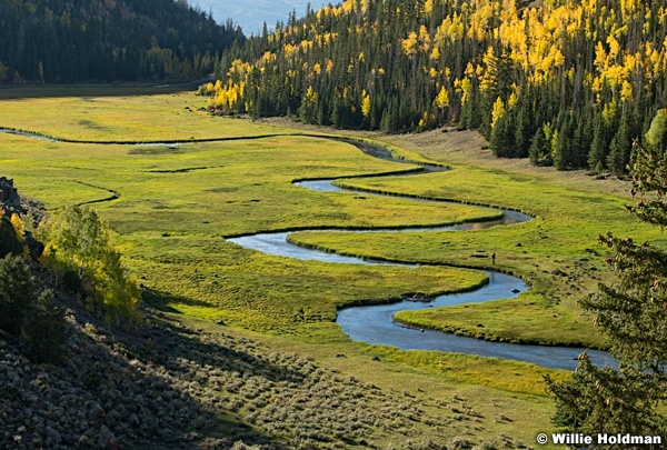 Meandering Autumn Stream 093023 6291 2