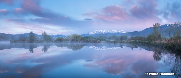 Timpanogos Blues Reflection Pan051318