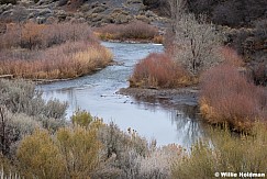 Sevier River Colors 111825 5732