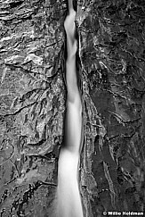 265063000314BW