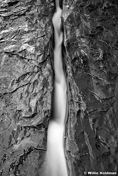 265063000314BW