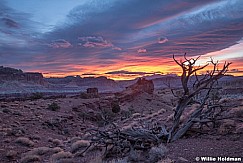 Colorful Sunrise Capital Reef 111820 2838 2