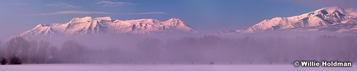 Foggypasturestimp122608