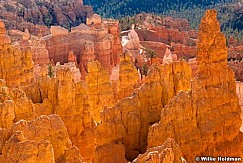 Bryceglowingrock103709