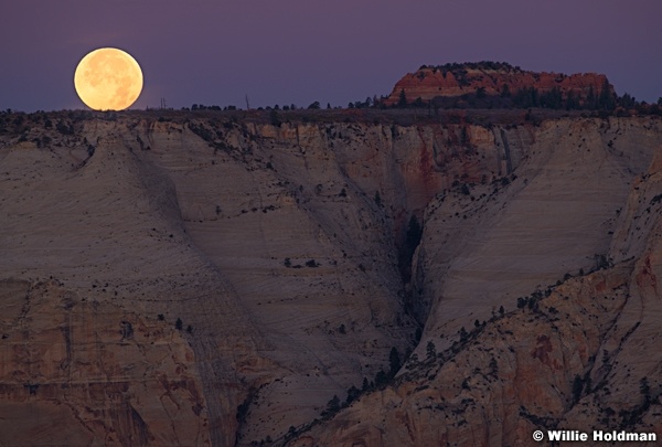 Zion Full Moon 113020 4695 2