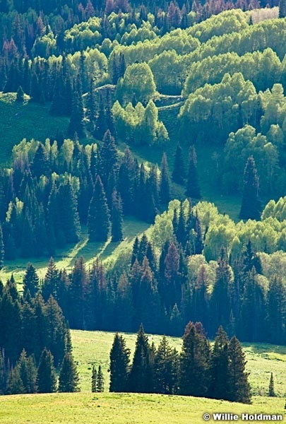 Wasatchgreens063010 1071