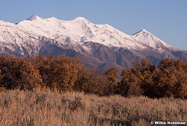 Nebo Snow Cover 101613 2713