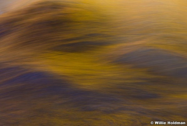 Yellow Water 110713 1018 1026