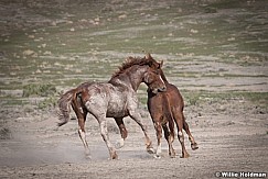 Mustang Bitting 051521 7764