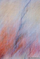 Abstractredoaks 14