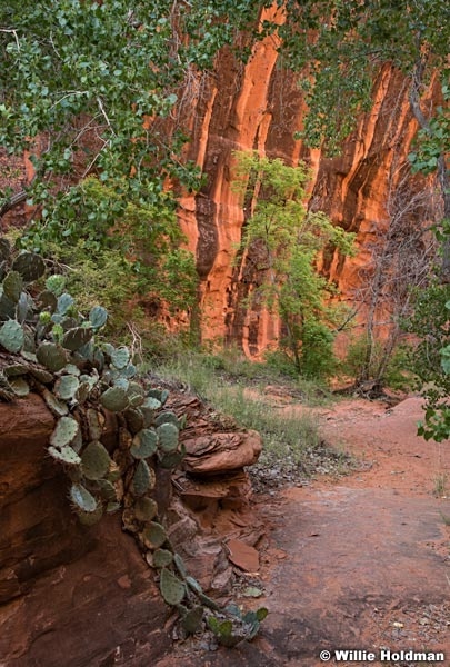 Escalante Choprock Canyon 060516 0866 2