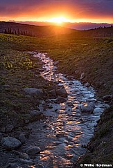 Red Lake Creek Sunset Lilies 060521 9615