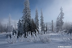 Frosty Trees Lake Creek 100125 7350 2