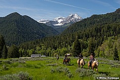 Horsebackriding 2