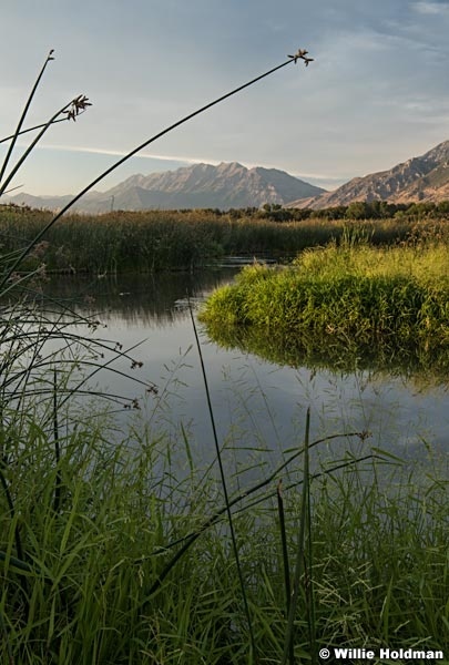 Timpanogos Summer 082516 6951 3