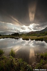 Provo River rays 073112F 239